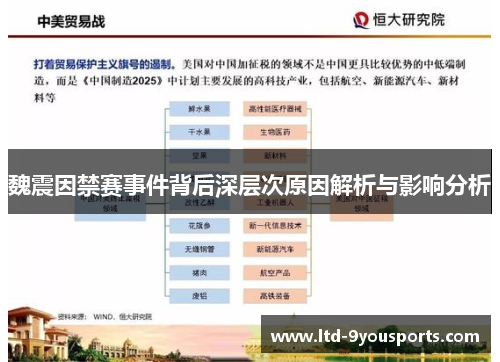 魏震因禁赛事件背后深层次原因解析与影响分析