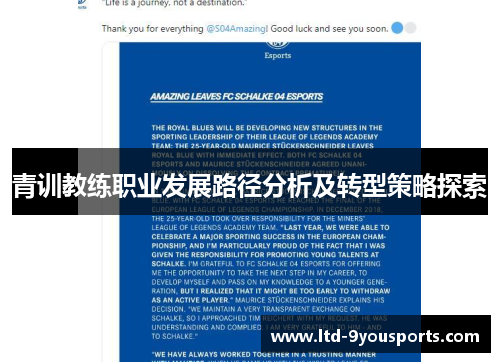 青训教练职业发展路径分析及转型策略探索