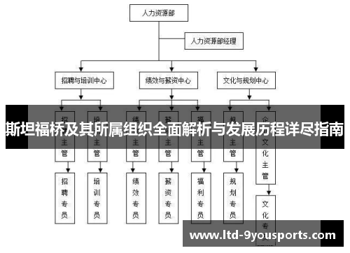 斯坦福桥及其所属组织全面解析与发展历程详尽指南