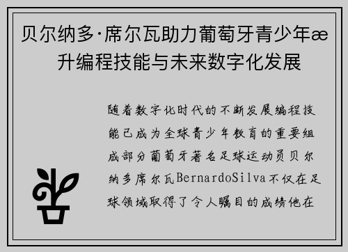 贝尔纳多·席尔瓦助力葡萄牙青少年提升编程技能与未来数字化发展
