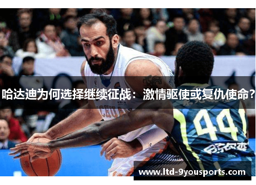 哈达迪为何选择继续征战：激情驱使或复仇使命？