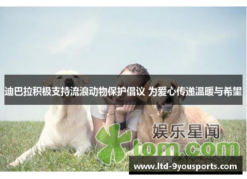 迪巴拉积极支持流浪动物保护倡议 为爱心传递温暖与希望